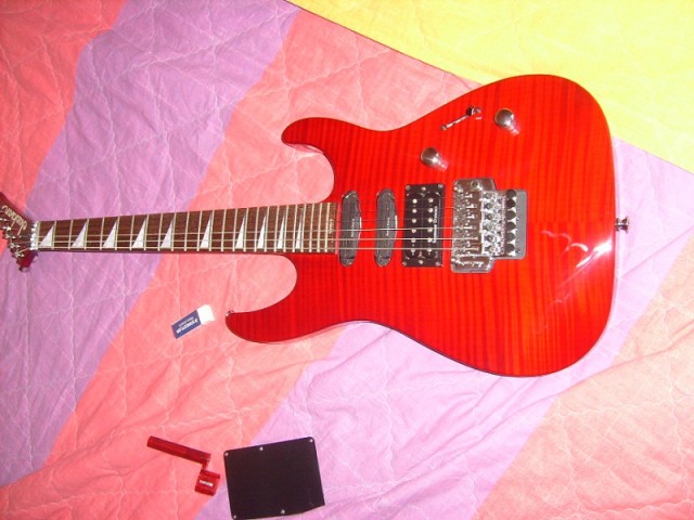S7303317.JPG